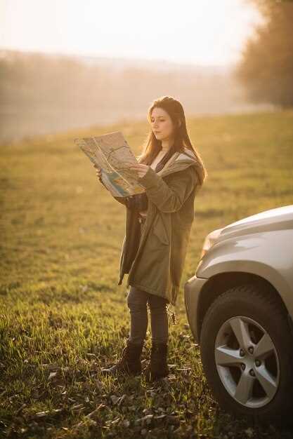 Proceso paso a paso para la inscripción en el registro de vehículos históricos