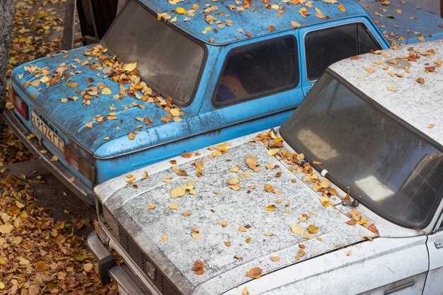 Preparación del coche antes del almacenamiento invernal